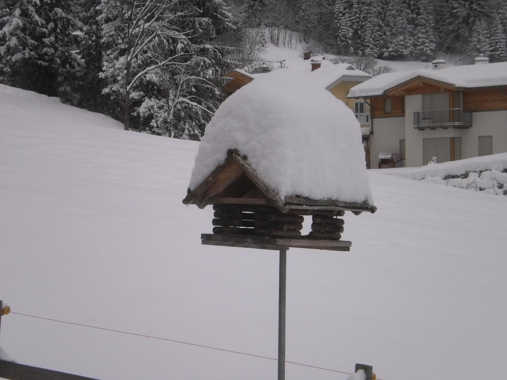 Haus Birke Apartamento Weissensee Exterior foto